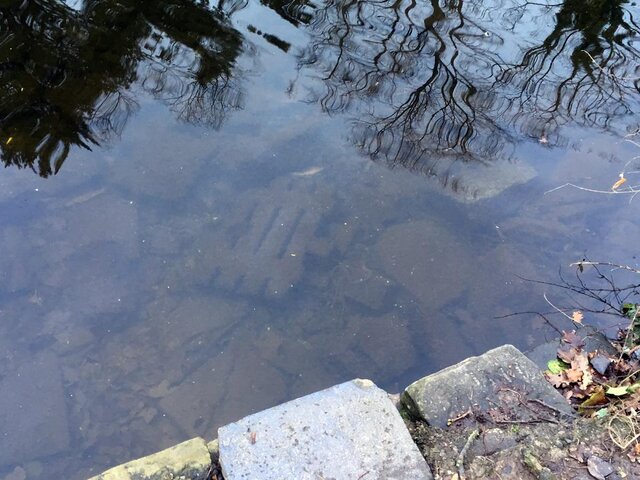 Shallow Duck Pond 1.jpg