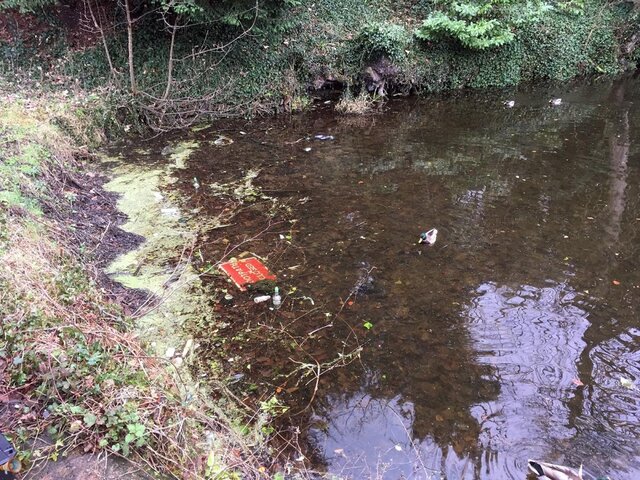 Duck Pond Rubbish.jpg