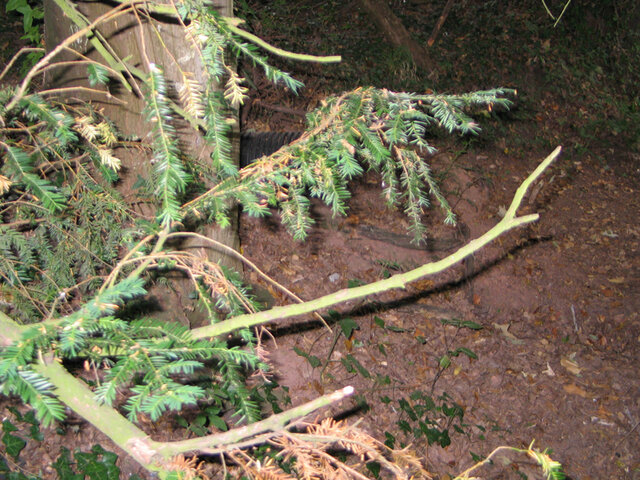 New pipe in between the branches~ doing nothing.jpg