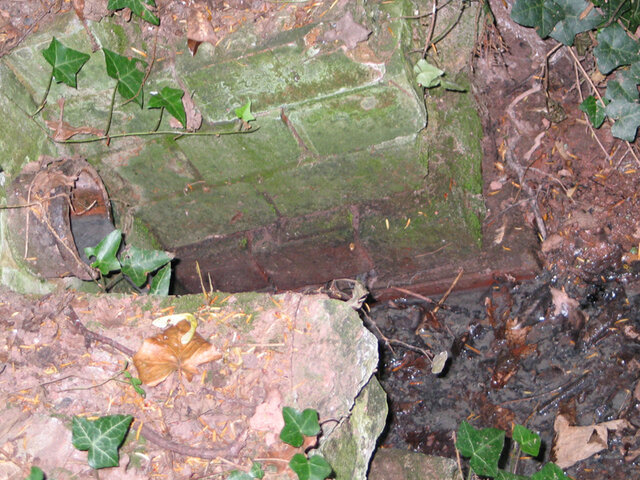 Sewage entering the lower Pond.jpg