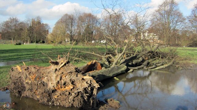 Bishops Meadows 2.jpg