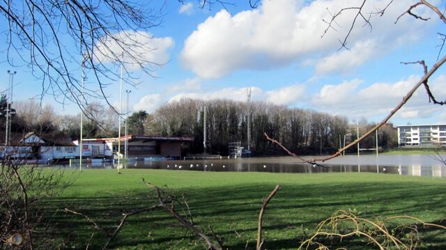 Hereford Rugby Club 3.jpg