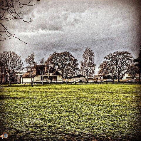 Widemarsh Common Hereford.jpg