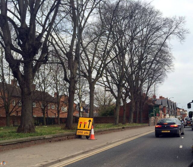 Hereford Traffic.jpg