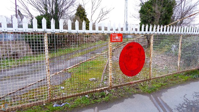 Back Curry&#39;s.jpg