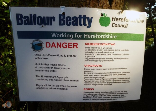 Algae Hereford Sign.jpg