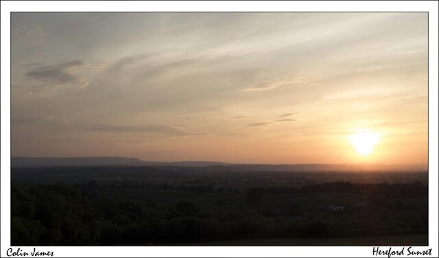 Sunset Hereford.jpg