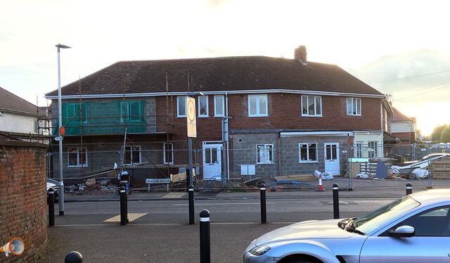 Magenta Hereford.jpg