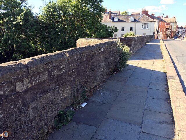 Old Bridge Weeds 1.jpg