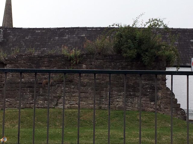 Hereford City Walls 1.jpg