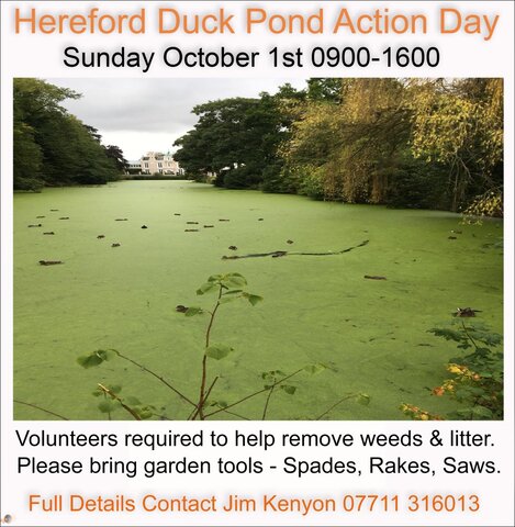 Community Action Day.jpg