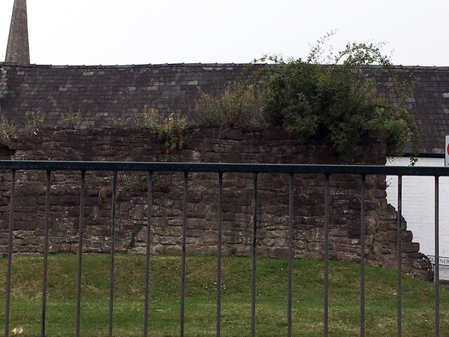 Hereford City Walls.jpg
