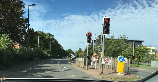 Belmont Road Cyclist 1.jpg