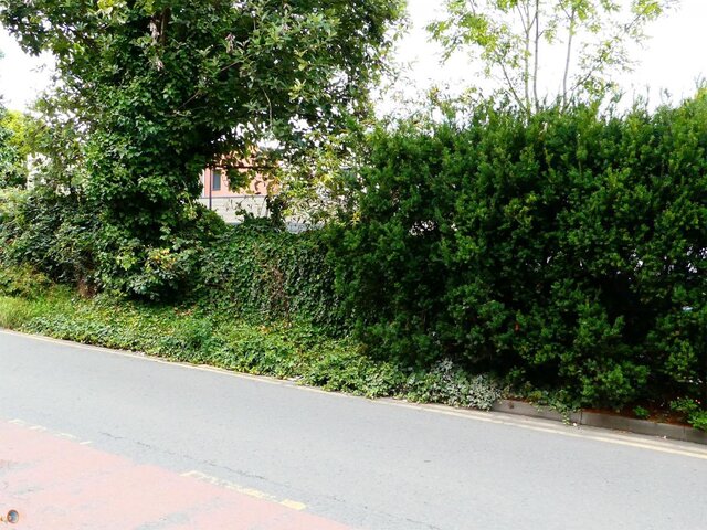 Hereford City Walls Blueschool Street.jpg