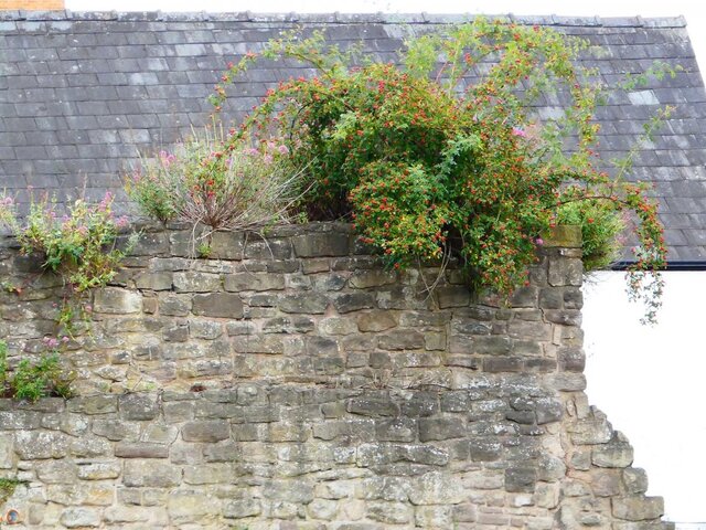 Hereford City Walls Gunners Lane.jpg