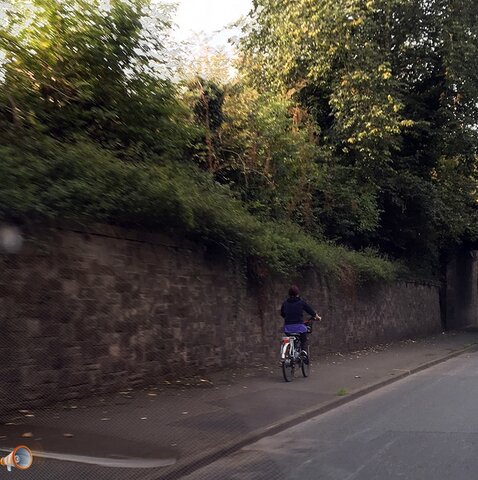 Belmont Road Cyclist.jpg