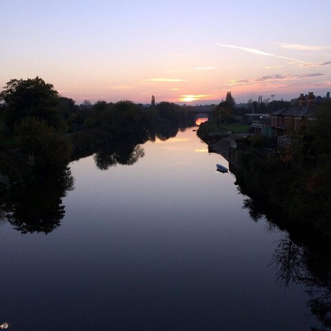 Sunset Hereford.jpg