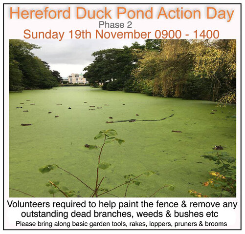 Duck Pond Phase 2.jpg