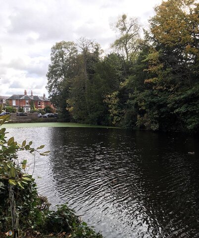 Duck Pond Clear 1.jpg