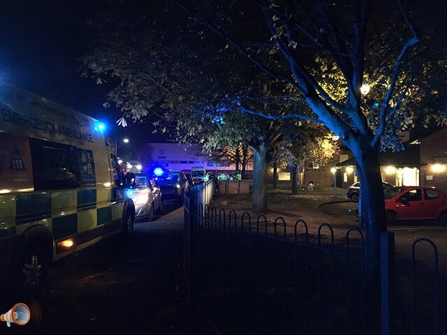 Henffordd Gardens 1.JPG