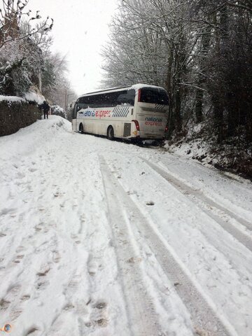 Bus.jpeg