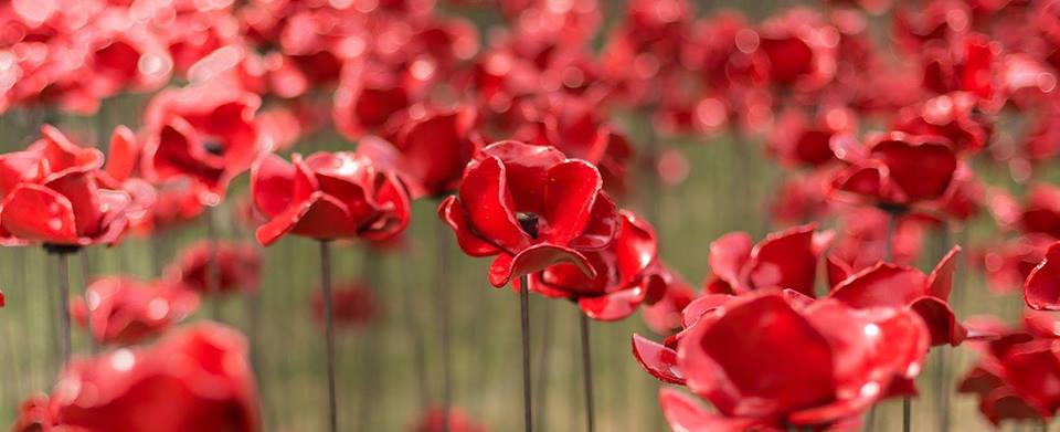 Weeping Window Sculpture