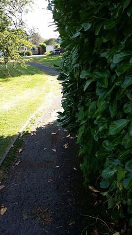 20180715_091615 hv2.jpg