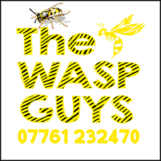 The Wasp Guys