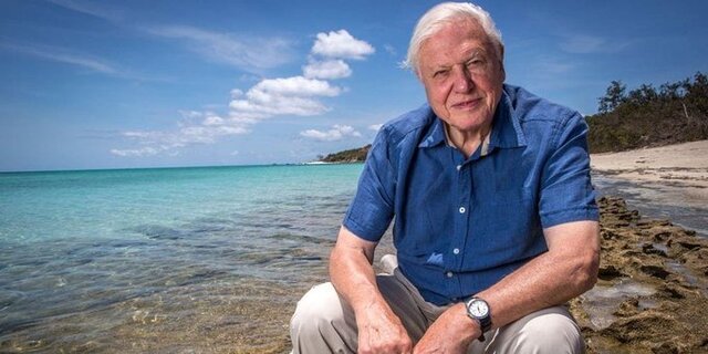 427181584_SirDavidAttenborough.thumb.jpeg.52c5609650266eb80ecdd9644afcdf2c.jpeg