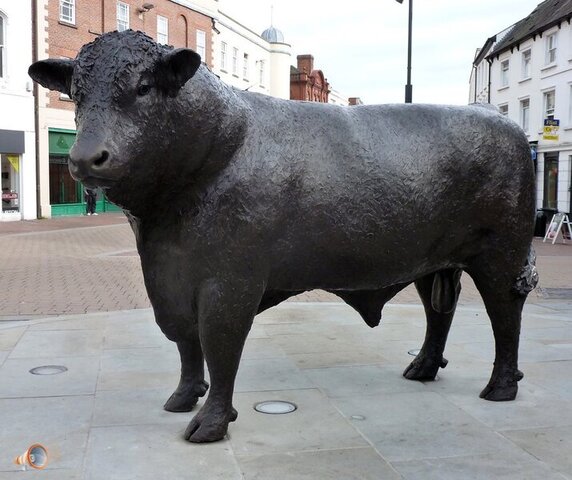 743717445_HerefordBullStatue.thumb.jpg.51f031dc91451ed194493584beed5694.jpg