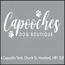Capooches Dog Boutique