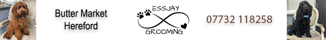 EssJay Dog Grooming