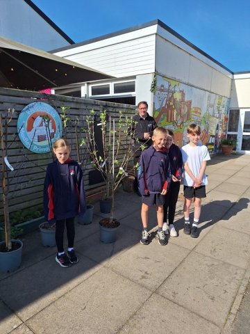 Apple_tree_arrival_at_Madley_School_web.thumb.jpg.1442567012555608c7911372d33e19dc.jpg